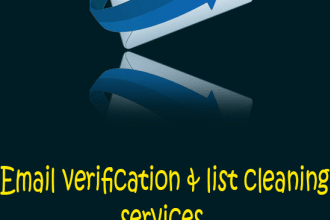 do email verification cleaning validation service 100k