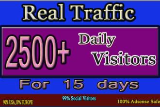 drive real traffic, visitors,boost your website or blog