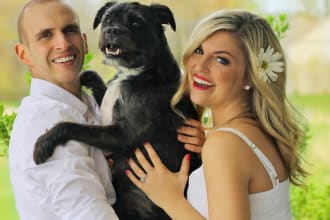 do guest post on my pet and animal blog with dofollow backlink