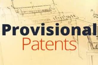search,draft and file your provisional patent