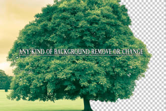 do photoshop and illustrator work