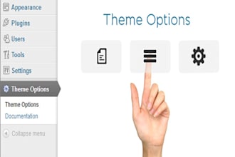 add extra theme options for wordpress site