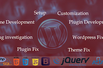 fix your wordpress issues