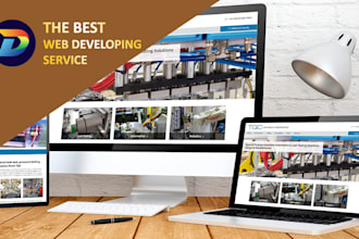 develop professional and responsive websites