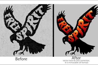do vector tracing,color correction,