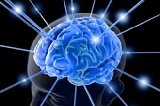 brainstorm a solution for you