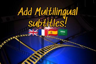 perfectly make english french arabic subtitles for you