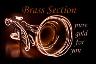 record pro level brass section for your track