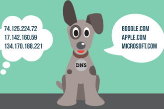 setup any dns cname, mx, a, txt records