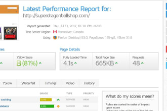 increase wordpress website speed and performance in 10 hours
