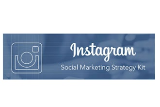 professionally manage your instagram page