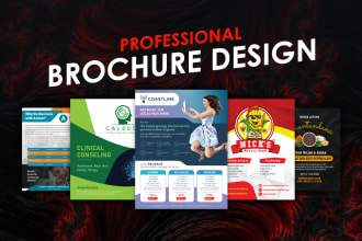 design professional brochure and flyer within 24 hours