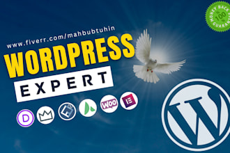 be your wordpress website expert
