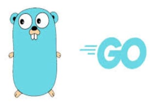code or fix the program in golang , go programming language