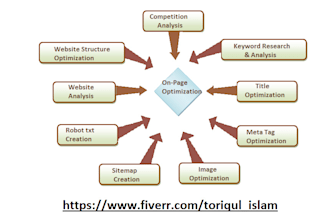 provide outstanding  on page SEO services
