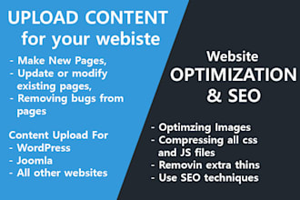 customize your website, upload content and optimize website