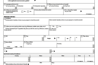 online offline visa form filling application