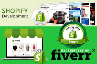 do custom shopify coding