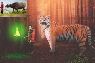 do any photo compositing photo manipulation and image editing