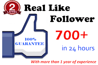 deliver 700 Real PERMANENT facebook likes,subscriber,follower in 24 to 48hours