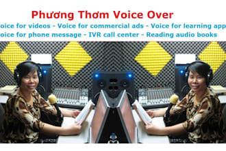 provide vietnamese voice over and dubbing video
