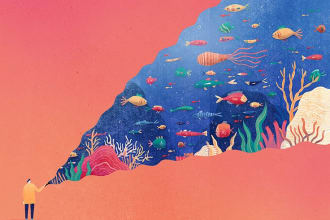 illustrate any thing in adobe illustrator