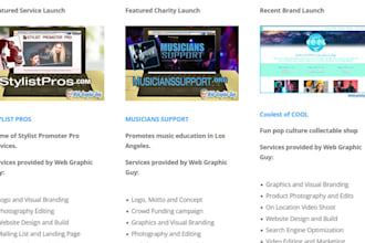 build a pro wordpress website on your hosting account