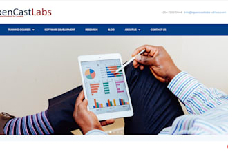 design a professional wordpress website or blog
