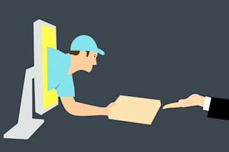 build or customize a shopify ecommerce store