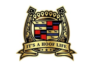 make a new attractive horse racing club logo