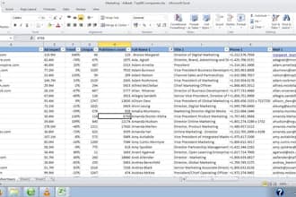 do professionally data entry in microsoft excel