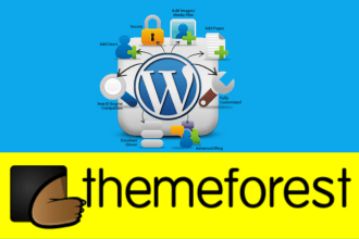 customize themeforest theme 24h