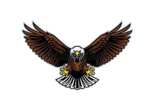 do eagle logo for you with free revisions and vector file