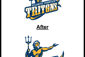 do professional embroidery digitizing in hours