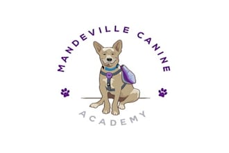 create a fun canine academy logo