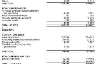 provide bookkeeping, feasibility, and consultancy services
