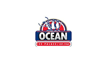 design ocean ice palace logo in 1 day