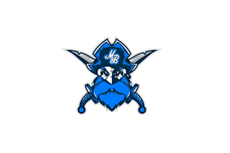 design a pirate logo for a sports team