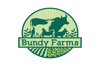 design a vintage logo in 1 day