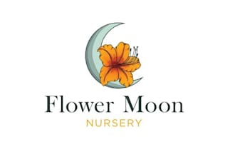 create beautiful and best plant nursery logo