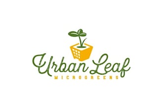 design simple old school logo in 1 day
