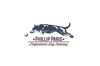 create a unique branding logo for a professional dog trainer