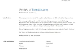 do professional SEO report, website audit, and competitor analysis