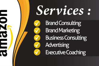 be your amazon fba  business consultant or marketing coach