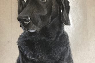 do a realistic charcoal drawing of your pet