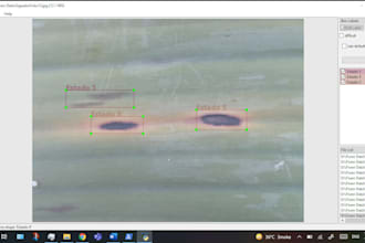 collect and label object detection dataset