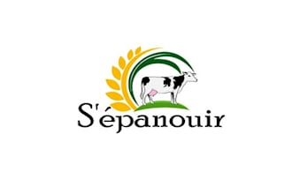 create a professional sleek logo  in 1 day