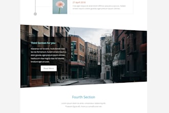 design, revamp, redesign wordpress website