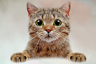 draw a pet potrait digital oil painting