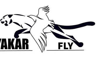 cheap and high quality logo